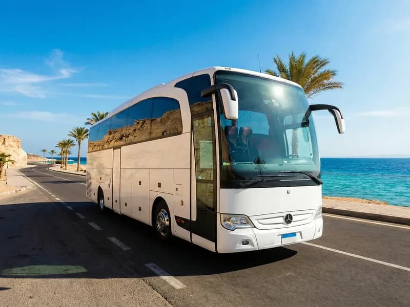 Mercedes Travego (Big Bus)